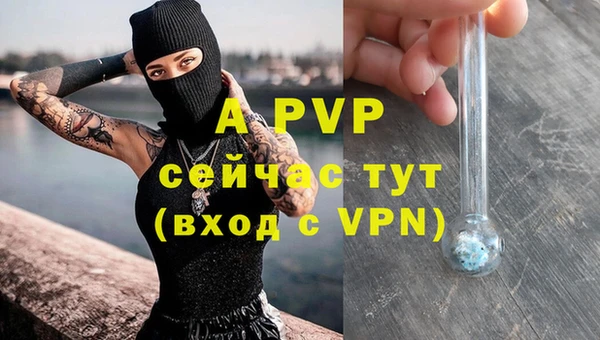 амф Балахна